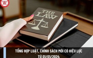 Một số chính pháp pháp luật nổi bật có hiệu lực từ 01/01/2024